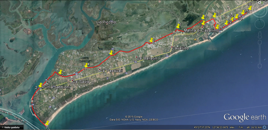 moonligt half marathon